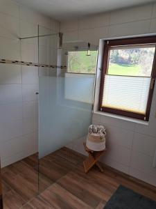 ein Bad mit einer Glasdusche und einem Fenster in der Unterkunft Hof Helmenhube 2 in Gammelsbach