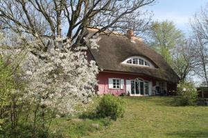 Zahrada ubytování Altes Waschhaus Krakvitz