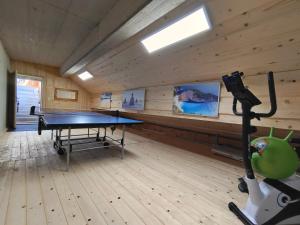 Stolní tenis v ubytování Falkenblick nebo okolí