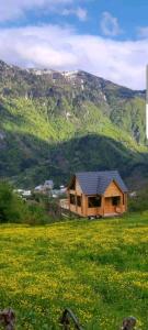 ein Haus auf einem Feld mit Bergen im Hintergrund in der Unterkunft SunHouse in Khulo