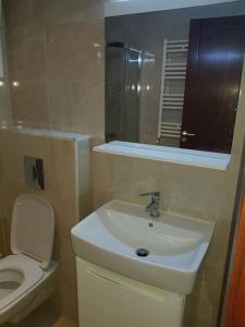 Koupelna v ubytování Excellent Appartement aux Berges du Lac2 TUNIS