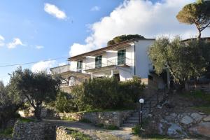 a house on a hill with trees in front of it at Appartamento Cavoli - Vista mare con terrazza, clima e posto auto in Cavoli