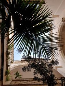 Jardin de l'établissement Miro B&B