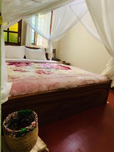 Marangu的住宿－Mrefu Eco-lodge，一间卧室配有一张带天蓬的床