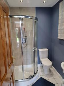 een badkamer met een douche en een toilet bij Lecale Bliss in Downpatrick