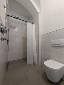 uma casa de banho branca com um WC e um chuveiro em Im Alten Gefängnis em Überlingen