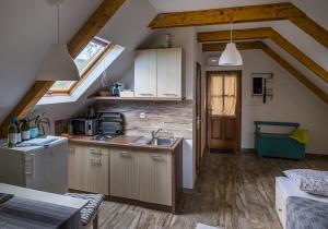 - une cuisine avec un évier et un comptoir dans l'établissement Tagyon Birtok Mandula Apartmanház, à Tagyon