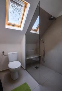 a bathroom with a toilet and a skylight at Tagyon Birtok Mandula Apartmanház in Tagyon