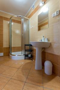 a bathroom with a sink and a shower at Willa Limba in Krościenko