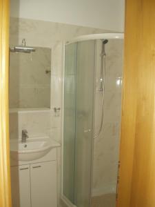 uma casa de banho com um chuveiro e um lavatório. em Apartment Novi Vinodolski em Novi Vinodolski