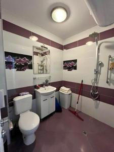 プロブディフにあるMarica Apartmentのバスルーム(トイレ、洗面台付)