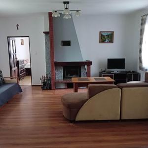 a living room with a couch and a fireplace at Klimatyczny Domek in Sławęcin