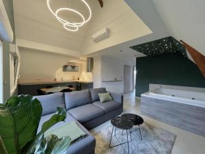 TV a/nebo společenská místnost v ubytování Gite Spa L'Atelier Emile - Spa Privatif - 5 min COLMAR