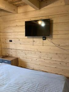 a bedroom with a wall with a flat screen tv at Chata Peťo in Bžany