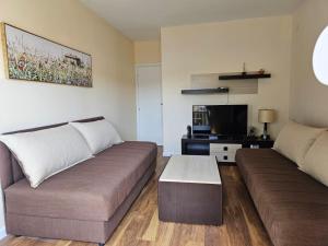 a living room with a couch and a coffee table at Apartment Mimi in Herceg-Novi