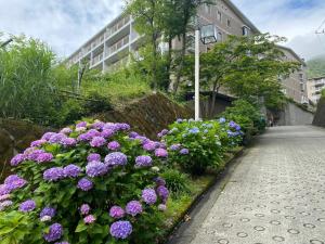 un jardín de flores púrpuras junto a un edificio en Gora Onsen Kinkaku 金閣莊 預約制免費個人湯屋 Private onsen free by Reservation en Hakone
