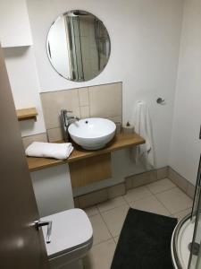 a bathroom with a sink and a mirror at cosy quiet apartment in Nottingham