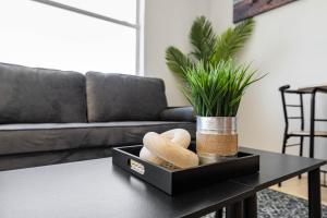 a coffee table with a black tray with a potted plant at Cottage Bungalow Near Beach! 1 Bed with Pool & BBQ in Fort Myers