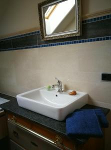lavabo blanco en el baño con espejo en Ferien in der alten Scheune, en Kurort Altenberg
