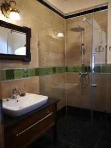 a bathroom with a sink and a shower at Ferien in der alten Scheune in Kurort Altenberg