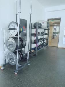 Spordikeskus ja/või sportimisvõimalused majutusasutuses Armonia 2 Bdrm Apt/Gym/Poolview/Wi-Fi/Netflix