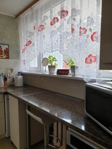 Апартаменты Юрмала Jūra في يورمالا: طاولة مطبخ مع نافذة مع نباتات الفخار