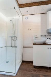 a bathroom with a sink and a glass shower at Tiny House w Camp Gorący Potok in Szaflary