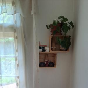 une étagère avec des plantes à côté d'une fenêtre dans l'établissement Къща за гости Марчела и ресторант, 