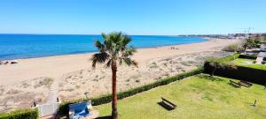 a palm tree sitting on top of a beach at Apartamento Catamarán II by DENIA COSTA in Denia