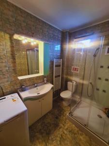 een badkamer met een wastafel, een douche en een toilet bij Nosen Apartment in Bistriţa