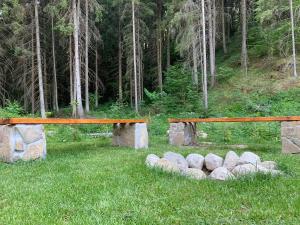 un gruppo di rocce in un campo con tavolo di Chata Mošnica a Lazisko