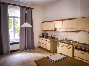 Virtuvė arba virtuvėlė apgyvendinimo įstaigoje Dittrichova Apartment