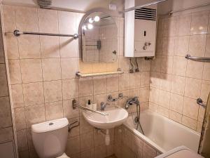 Vonios kambarys apgyvendinimo įstaigoje Dittrichova Apartment