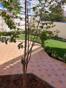 Villa kaoutar في مرتيل: وجود شجرة جالسة على ممشى البلاط