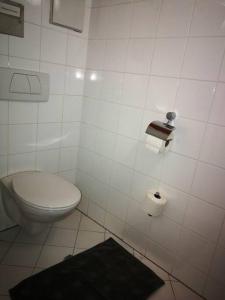 a bathroom with a toilet and a roll of toilet paper at Schlossquadrat Apartment 12 in Vienna +9 photos