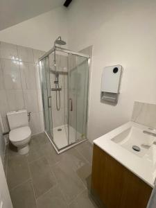 La salle de bains est pourvue d'une douche, de toilettes et d'un lavabo. dans l'établissement Atypique - Centre historique - Appartement 2 chambres, à Bourges