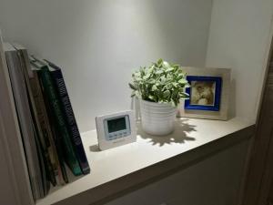 a shelf with a clock and a vase with a plant at Historic cottage next to loch lomond Luss in Alexandria