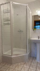 y baño con ducha de cristal y lavabo. en Iwenica, en Stara Kamienica