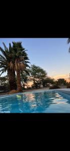une piscine avec deux palmiers en arrière-plan dans l'établissement Luxury Home with private pool and full size basketball court, à Las Vegas