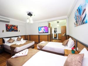 Televisyen dan/atau pusat hiburan di Arges old city hotel