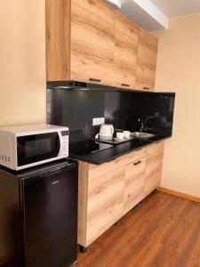 La cuisine est équipée d'un réfrigérateur noir et d'un four micro-ondes. dans l'établissement SPA&Hotel MŪSA PARADISE, à Bauska