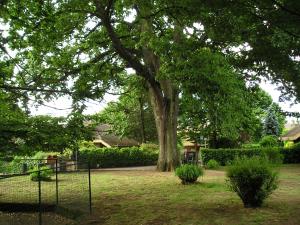 uma árvore num quintal com uma cerca e uma árvore em Casa vacanze Il Parco em Manziana