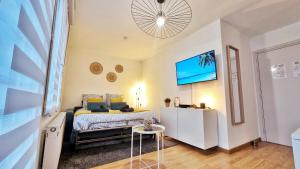 Telewizja i/lub zestaw kina domowego w obiekcie Le SMART - Parking - Terrasse - Wifi - Mulhouse - Relax BNB