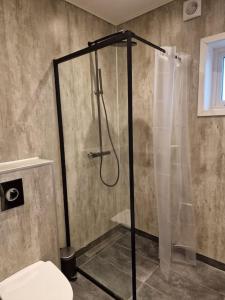 a bathroom with a shower and a toilet at New flat with hot tub - No1 in Oyndarfjørður