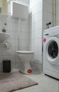 a bathroom with a toilet and a washing machine at Cozy flower apartment in Vranje