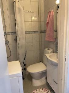 Kylpyhuone majoituspaikassa Yksiö+autopaikka/Small apt.+free parking