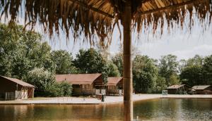 a view of a resort with a body of water at Vakantiepark Dierenbos in Vinkel