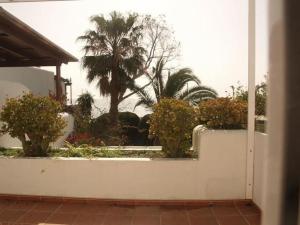 a white fence with plants and a palm tree at Apartamento a pie de playa - Mojacar in Mojácar