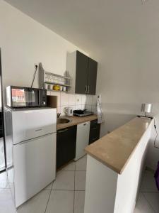 a small kitchen with a counter and a sink at Apartments Frigan in Maslenica