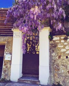 une porte avec des glycines violettes suspendues au-dessus dans l'établissement La Reposée, bas de villa en plein cœur de Vence, à Vence
